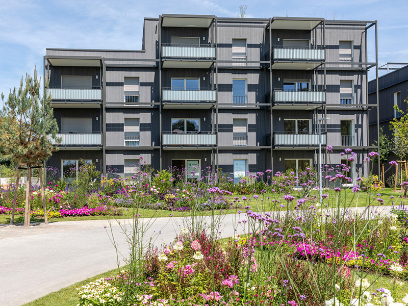 Mehrfamilienhaus Wangen im Allgäu