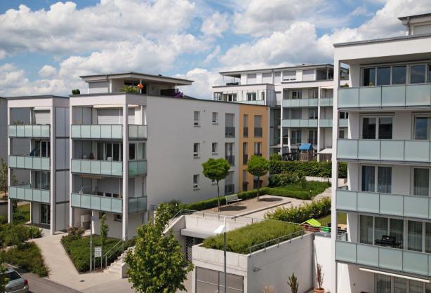 Unsere Dienstleistungen